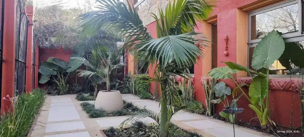 Patio con palmeras y mesas al aire libre