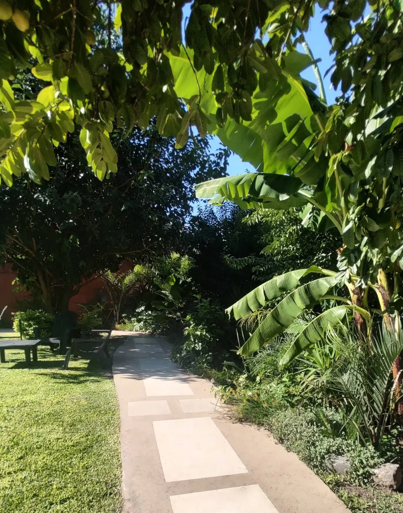 Sendero de baldosas entre la vegetación