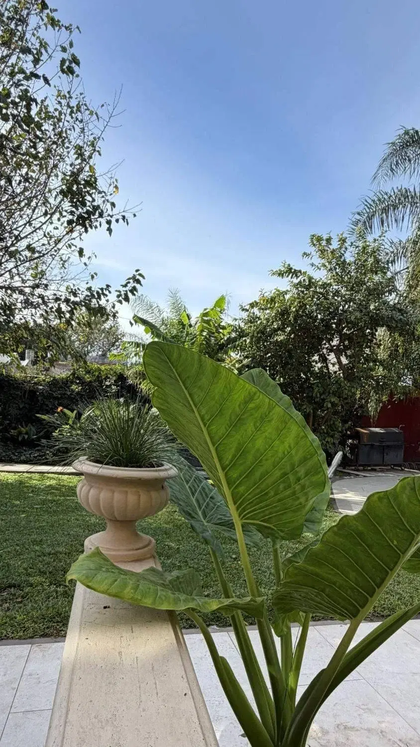 Parque arbolado de la residencia